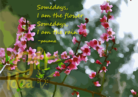 Flowers Canvas Art - Flowers And Rain On Canvas With Quote